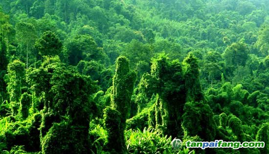 第三屆中國綠色碳匯節沈陽系列活動啟動