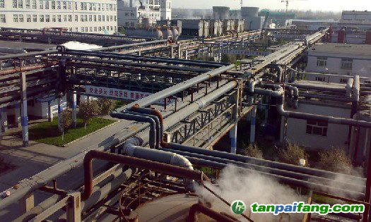 全國碳市場背景下 企業碳資產如何管理