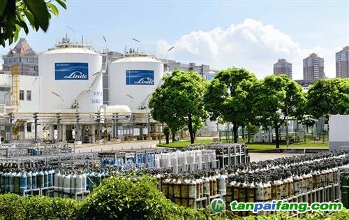 碳交易，廈門企業競爭力又一“利器”