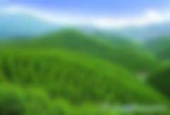 林業碳匯林補貼騙局是怎么回事兒？