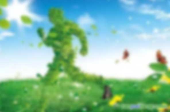 企業陸續開展碳資產管理