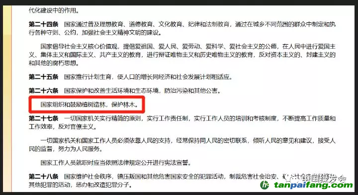 （倡導植樹要講究生物多樣性。來源/網絡）