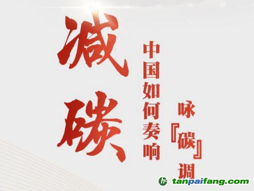 兩會前瞻：直面挑戰，中國如何奏響詠“碳”調？