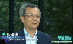 張希良：可適當引入有償碳排放配額、碳稅機制