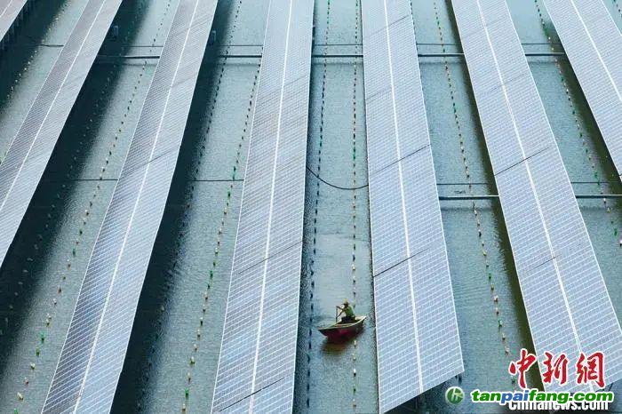江蘇常州“漁光互補”光伏發電，實現經濟效益和生態效益雙豐收。泱波 攝