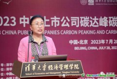 無限夸大碳匯收益 誤導市場走向！碳匯交易呈現出“劣幣驅除良幣”的態勢