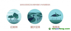 183元/噸！碳匯爆發，CCER市場價格的風向標？