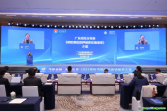 在廣東，碳配額抵質押融資有了地方標準