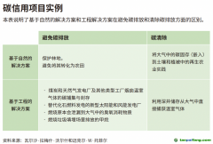 企業領導者為什么必須了解碳信用額？