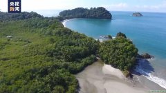 有何影響？全球海洋表面溫度連續14個月打破紀錄