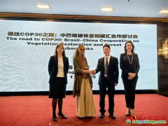巴西環境部長：全球南方國家應緊密團結 共促COP30氣候承諾加速落地
